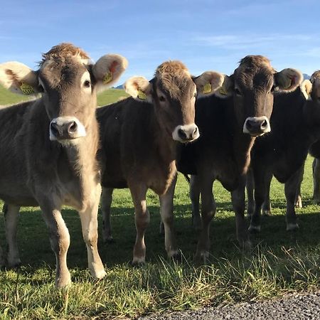 Ferienwohnung Am Kurpark Oy-Mittelberg Zewnętrze zdjęcie